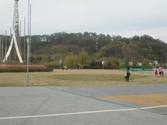 -飞凤山奥体公园