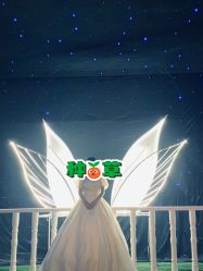 -金夫人婚纱摄影(总店)