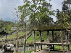 -碧峰峡风景区