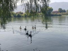 -长兴太湖图影湿地文化园