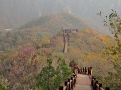 -大岭沟猕猴桃谷风景区