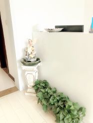 -MIVI野生眉纹绣纹眉