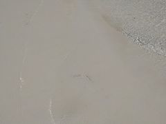 -白沙滩