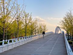 -大兴滨河森林公园