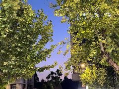 -长藤鬼校(龙翔店)