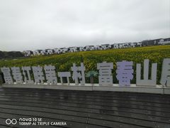 -东梓关景区村庄