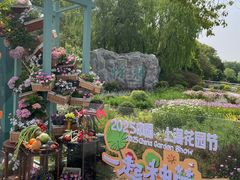 -上海鲜花港