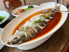 -东湖食堂·湖景餐厅•会议