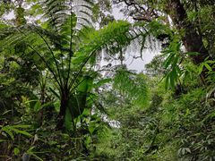 -海南热带雨林国家公园吊罗山景区