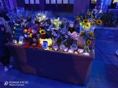 -三亚湾红树林国际会展中心(演出售票)