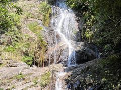 -兴隆隆苑咖啡庄园