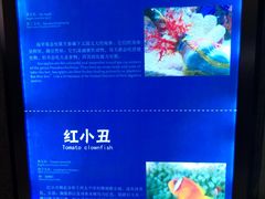 -福州罗源湾海洋世界旅游区