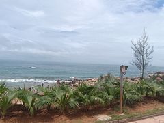 -广东惠东海龟国家级自然保护区