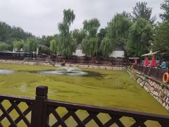 -尚庄度假村·庭台树下·户外烧烤·团建CS·轰趴营地(上庄水库店)