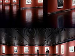 -江苏省美术馆(长江路新馆)