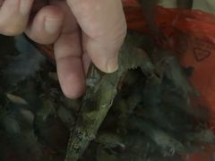 -羊栏农贸市场(羊新路店)