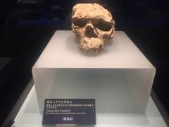 -湖北省博物馆