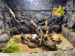 -绿色星球动物主题公园