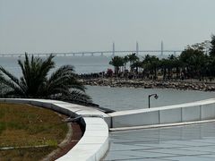-野狸岛