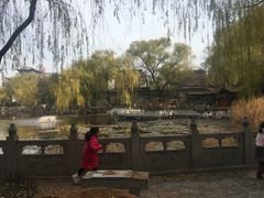 -文瀛公园