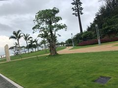 -野狸岛