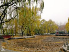 -玲珑塔公园