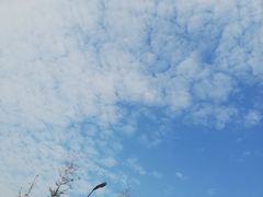 -沪上阿姨鲜果茶(万达影城店)