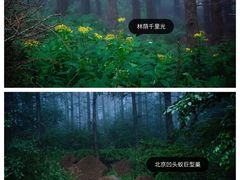 -白草畔自然风景区