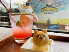 -柴犬高等学院·狗咖·柴犬售卖·宠物训练