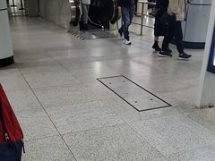 -上海游泳馆(地铁站)