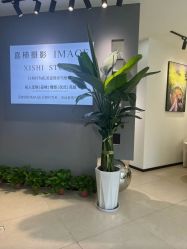 -喜柿摄影·XISHI IMAGE(和平店)