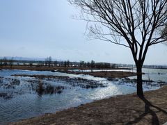 -野鸭湖国家湿地公园