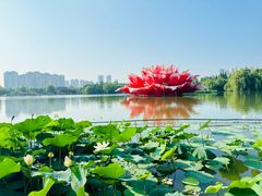 -洛阳市隋唐城遗址植物园