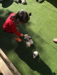 -萌宠亲子动物乐园(槐房万达店)