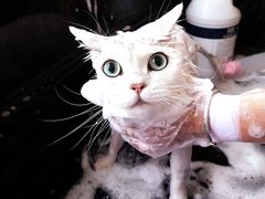 -中农大我爱我爱动物医院·核磁CT·猫病·24小时夜诊中心(石佛营店)