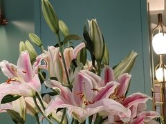 -南堂馆·新川菜(春熙路店)