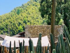 -MOJ coffee(瓯海泽雅水碓坑店)