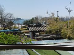 -慢丽江·云南野生菌土鸡锅(付家庄店)