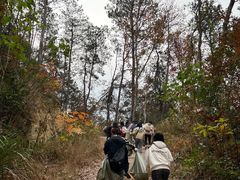 -青龙山国家森林公园