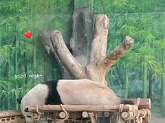 -灵玲国际马戏城