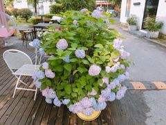 -灯塔咖啡馆BOOK·Coffee Shop
