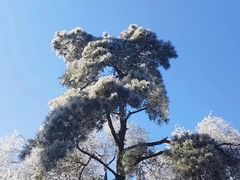 -庐山风景名胜区
