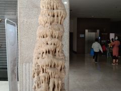 -中国地质大学逸夫博物馆