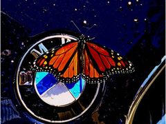 -永嘉宝诚宝马4S店(瓯北店)