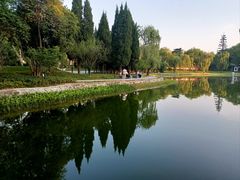 -渭滨公园
