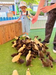 -萌宠亲子动物乐园(槐房万达店)