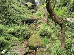 -青城山