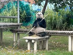-苏州太湖国家湿地公园