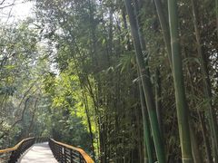 -炎帝陵景区