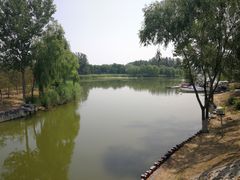 -大兴滨河森林公园